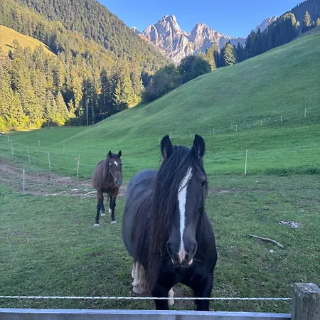 Au Pre Des Chevaux Lägenhet Chateau-d'Oex
