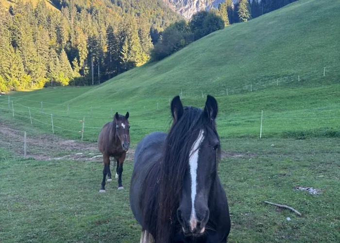 Au Pré Des Chevaux Appartamento Chateau-d'Oex