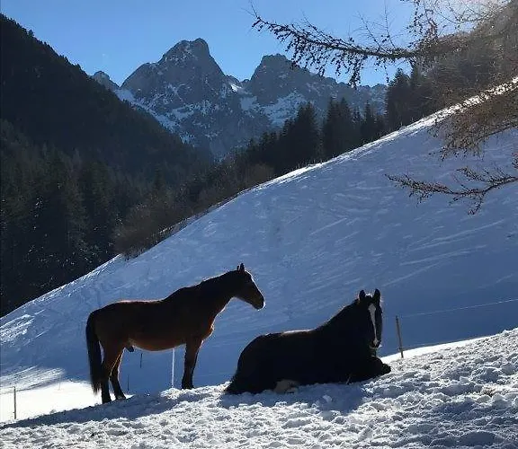 Au Pré Des Chevaux Appartamento Chateau-d'Oex