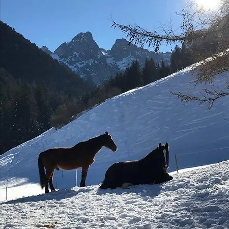Au Pre Des Chevaux Appartement Chateau-d'Oex